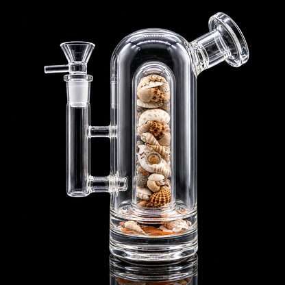 Clear glass water pipe with seashells inside on a black background