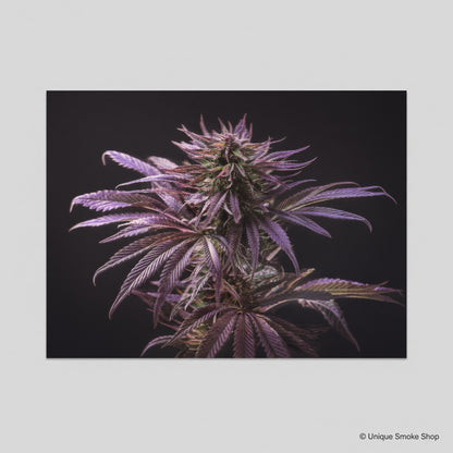 Purple botanical plant canvas art print on black background – front view