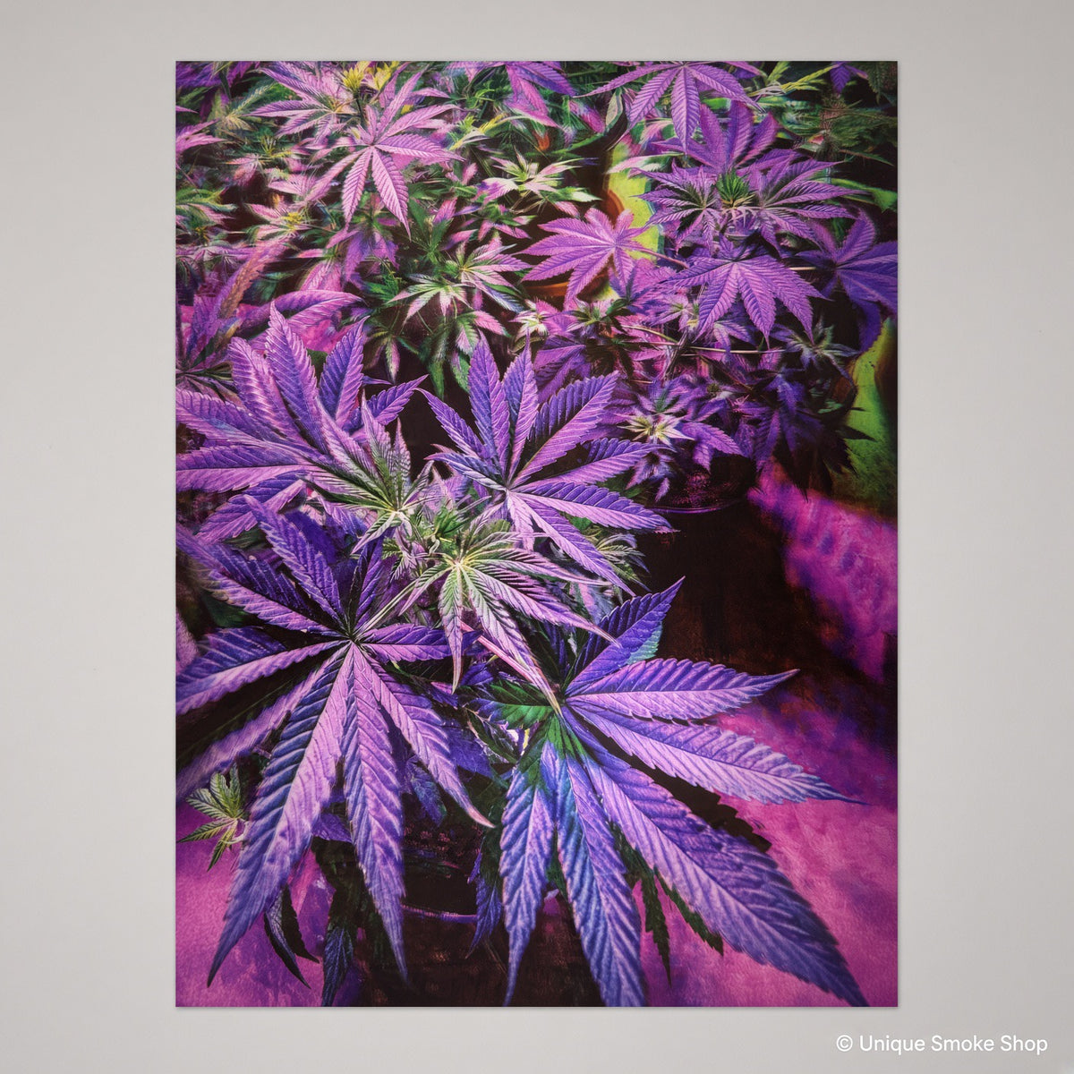 Purple and pink leaf canvas art print – front view